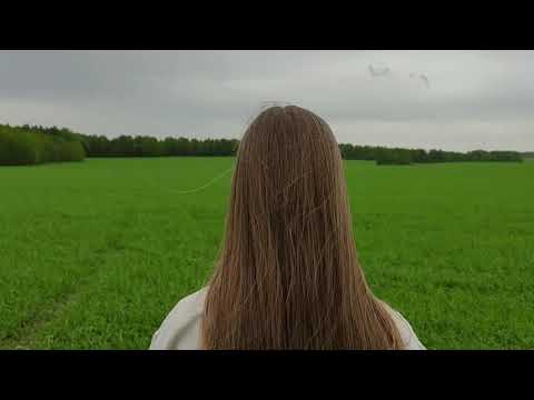 Видео: У.Караткевіч "Дзе мой край"