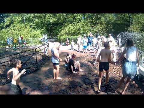 Видео: Фонтаны-шутихи Петергофа
