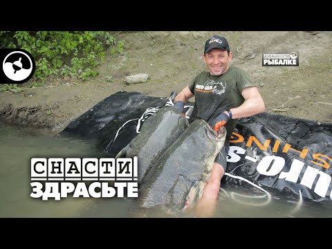 Видео: Трофейный сом на живца | Снасти, здрасьте!