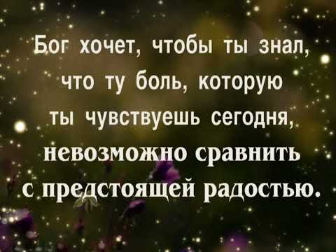 Видео: ВМЕСТО ХЛЕБА ОН КАМЕНЬ ТЕБЕ НЕ ПОДАСТ❗