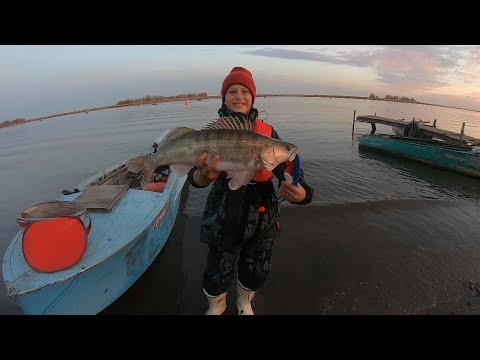 Видео: Рыбалка на Дону. Хутор Пятиизбянский в Калачёвском районе Волгоградской области. Судак, окунь