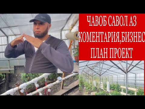 Видео: БИЗНЕС ПРОЕКЕТИ ГАРМХОНА, ЧАВОБ БА САВОЛИ ПОДПИСЧИК0,  ПЛАН ФЕРМА !!!