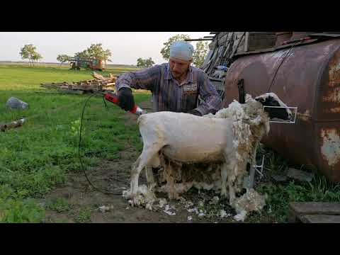 Видео: СТАНОК ДЛЯ СТРИЖКИ.