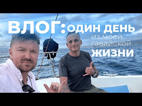 Видео: Bлог: Один день из моей гавайской будничной жизни.