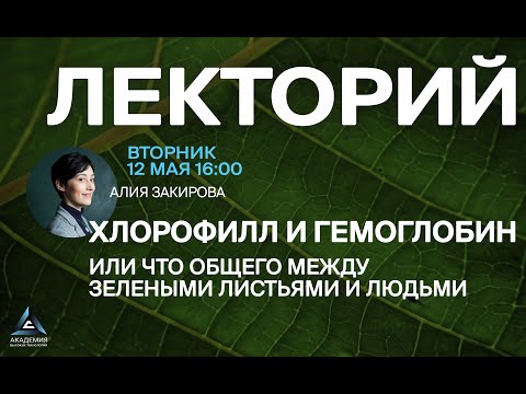Видео: Хлорофилл и гемоглобин или что общего между зелеными листьями и людьми