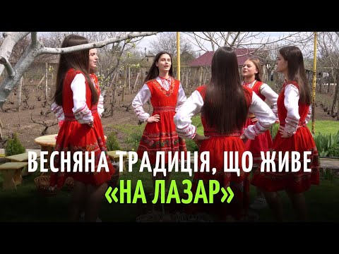 Видео: В селі Нові Трояни відзначили традицію "На Лазар"