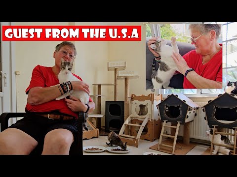 Видео: Мнение о нас дамы, приехавшей в гости из США.