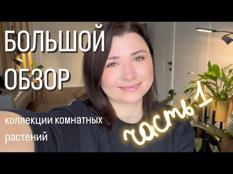 Видео: Большой обзор моей коллекции комнатных растений!🌿