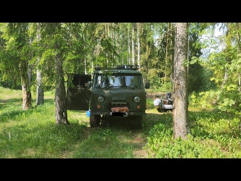 Видео: Рыбалка на Луге