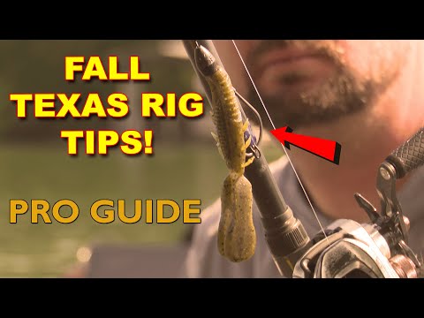 Видео: Советы по ловле окуня осенью: как поймать больше рыбы с техасской оснасткой | Ловля окуня