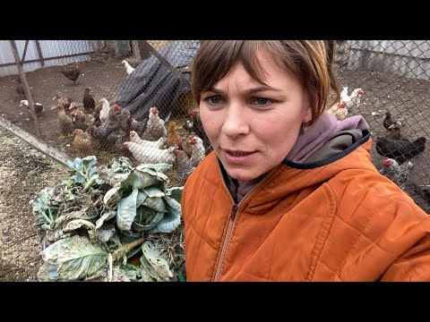Видео: Щось намагалося затягнути гарбуза під землю