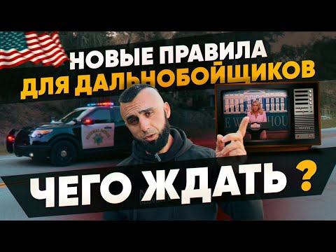Видео: Новый закон для трак-драйверов: что теперь проверяют на инспекциях?