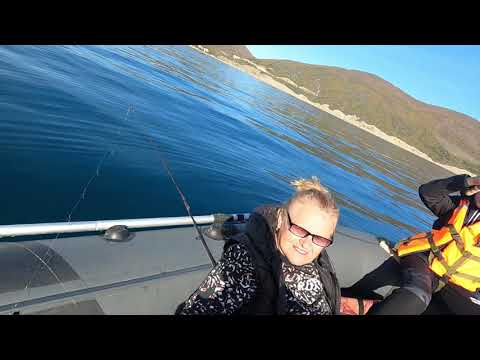 Видео: 3 ноября 2025 г.