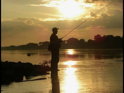 Видео: Первая часть рыбалка на  ВДХР с берега