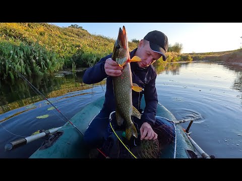Видео: ЩУКА В СЕНТЯБРЕ НА СПИННИНГ. Рыбалка на поппер и джиг.