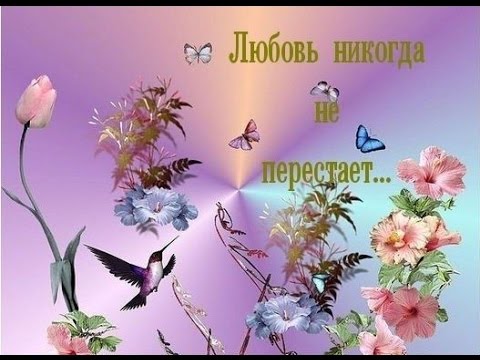 Видео: Я хочу всем рассказать о великой той любви