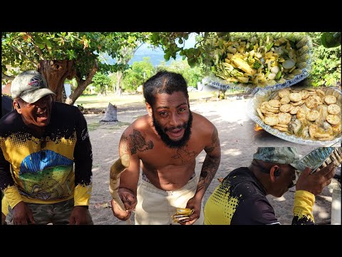 Видео: Мы сделали это во время посещения пруда с аллигаторами @George.Wilson7078