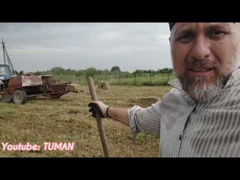 Видео: Собрали тюки люцерны. сколько вышло ?