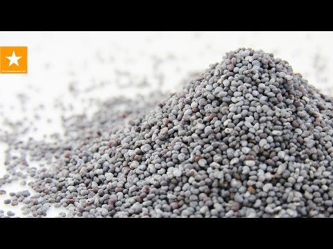 Видео: ИДЕАЛЬНАЯ МАКОВАЯ НАЧИНКА для рулета или пирога от Мармеладной Лисицы. Poppy Seed Recipe
