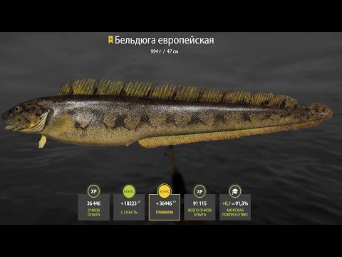 Видео: 🐠НОРВЕЖСКОЕ МОРЕ.ТУТ РЫБЫ НЕТ!!!!🐡РОЗЫГРЫШ РУЛЕТОК