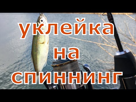 Видео: За уклейкой с Nano Zero . Мормышинг