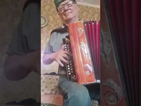 Видео: Халык кое. Ринат Абый уйный.