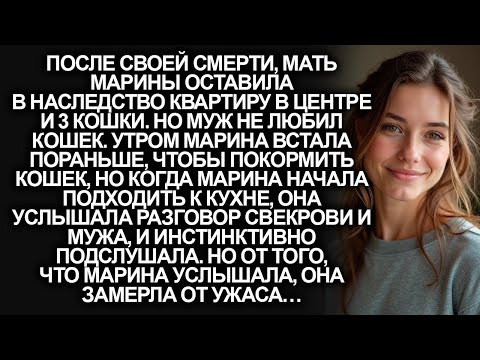 Видео: Мать Марины оставила крупное наследство_ квартиру в центре и 3 кошки. Но когда она подслушала