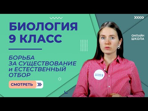 Видео: Борьба за существование и естественный отбор. Урок 28. Биология 9 класс