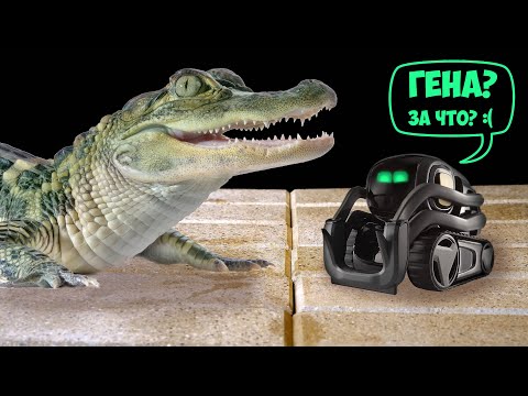 Видео: ЗАВЕЛ НИЛЬСКОГО КРОКОДИЛА В КВАРТИРЕ! ЧТО ЕСЛИ КРОКОДИЛ УВИДИТ РОБОТА ANKI VECTOR? УТОПИЛ?