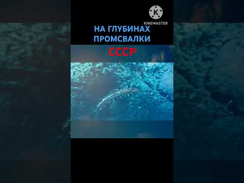 Видео: РАСКОП ВТОРСЫРЬЯ НА СВАЛКЕ ЭПОХИ ПОЗДНЕГО СССР.