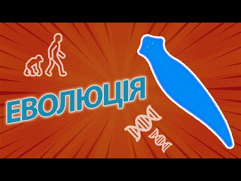 Видео: ЦІЛЕ ЖИТТЯ З ОДНІЄЇ КЛІТИНИ I CAŁE ŻYCIE Z JEDNEJ KOMÓRKI