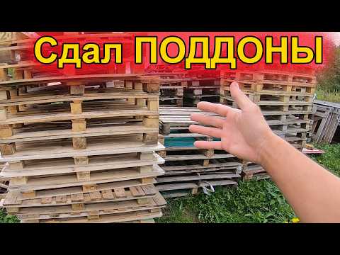 Видео: Сколько можно заработать на поддонах