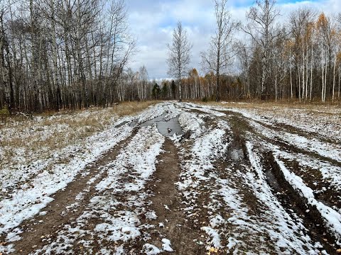 Видео: Осенний Грунт Cycling \ 171 км на single speed MTB //Тюмень – Бухтал – Сагай – Тюмень//