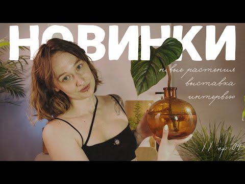 Видео: новинки: обзор, распаковка, выставка — сколько можно покупать? // ep. 04