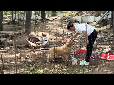 Видео: Прости, что заставил тебя ждать пять лет...
