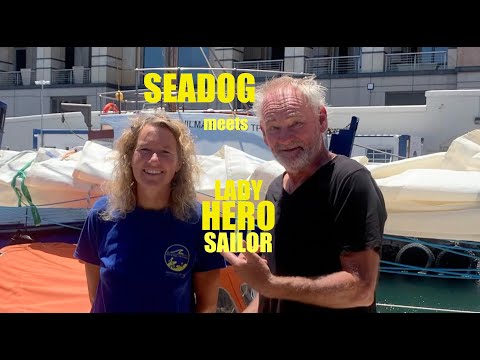 Видео: Морская собака встречает героиню-моряка