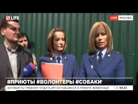 Видео: Прокуроры начали проверять приют для животных "Эко Вешняки" на аллее Первой Маевки в Москве