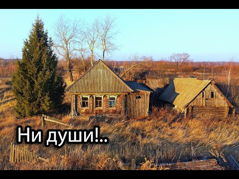 Видео: Тут есть электричество, но нет людей. Заброшенная деревня ИВАНОВКА, Республика Мордовия.