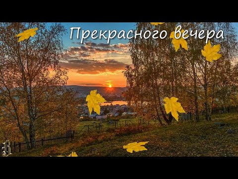 Видео: Добрый вечер  Закат