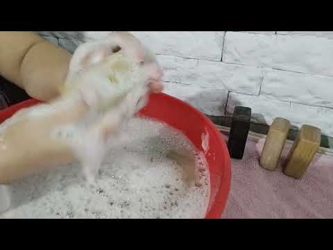 Видео: большие куски