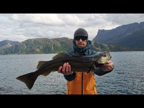 Видео: Интересная рыбалка в Норвегии