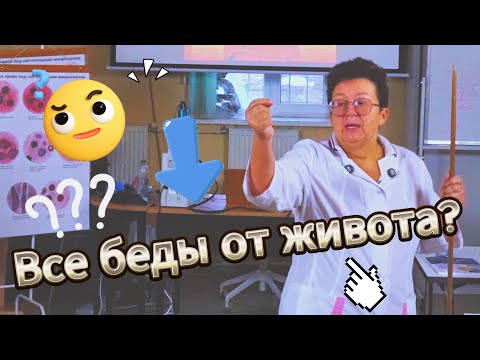 Видео: Обычная боль в животе? Больше, чем вы думали