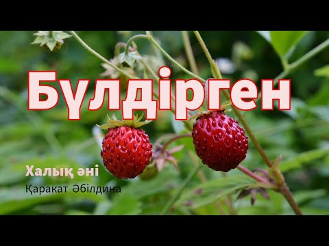 Видео: Бүлдірген | Халық әні | аудиокітап | mamyr | @kitapsoresi