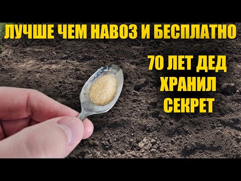Видео: ЛУЧШЕ ЧЕМ НАВОЗ И БЕСПЛАТНО! ПОЧВА СТАНОВИТСЯ ОЧЕНЬ ПЛОДОРОДНОЙ!