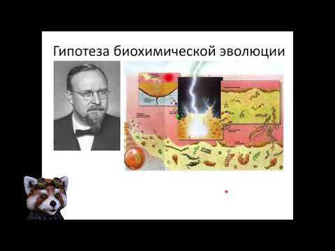 Видео: Теории возникновения жизни