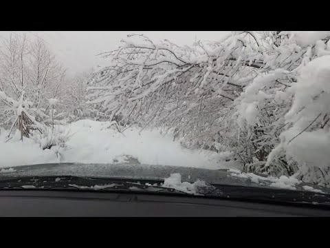 Видео: Дорога Рыбник - Подгородцы. 12.12.2021