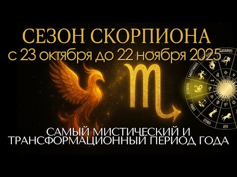 Видео: Сезон Скорпиона с 23 октября до 22 ноября: самый мистический и трансформационный период года