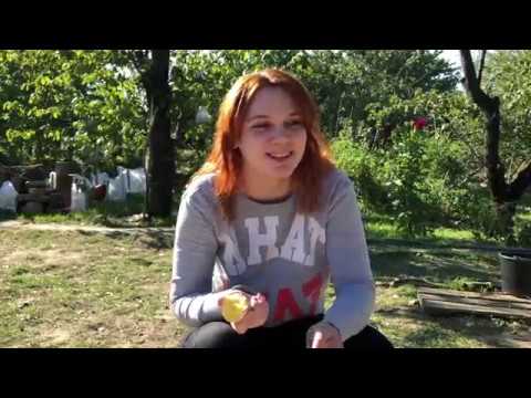 Видео: Какой на вкус пепино? / 10 соток