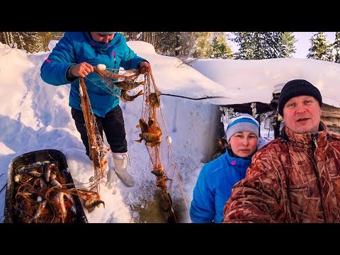 Видео: ПРОВЕРКА СЕТИ ЧТО СТАВИЛА ЖЕНА УЛОВ ОКУНЕЙ