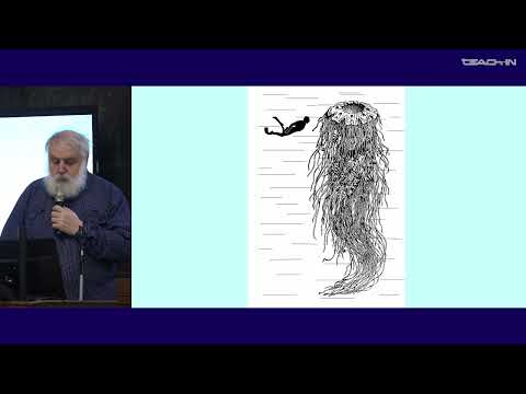 Видео: Малахов В.В. - Зоология беспозвоночных - 9. Тип Cnidaria (Стрекающие). Подтип Medusozoa